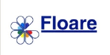 Floare (Kapika)